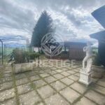 TABITI CLUB, CELANO
