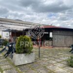 TABITI CLUB, CELANO