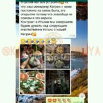 КЛУБ ЦОЛИБРИ, ЦЕЦИНА