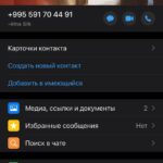 ДУБАИ, ЕВЕ ЛОУНГЕ ЦЛУБ, МАНАГЕР ХАЗЕМ И ХУСЕИН, СИЛК АРТ АГЕНЦИ