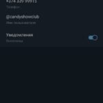 АРМЕНИЯ, ЕРЕВАН, КЛУБ «CANDY SHOW CLUB» («КЕНДИ ШОУ КЛАБ»), МЕНЕДЖЕРЫ АРАМ И КАРЕН