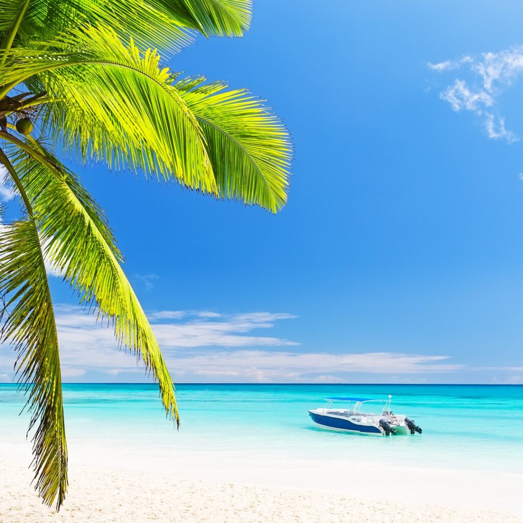 Dancer Job Vacancy in Dominican Republic