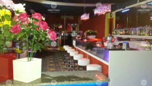 HAREM CLUB,OLBIA
