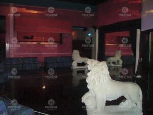 EXCLUSIVE CLUB, LEGNAGO