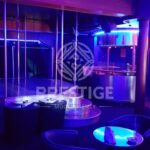 ВИЛД ЦАТС СТРИП ЦЛУБ, БАУМХОЛДЕР