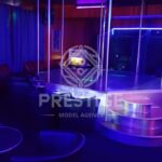ВИЛД ЦАТС СТРИП ЦЛУБ, БАУМХОЛДЕР