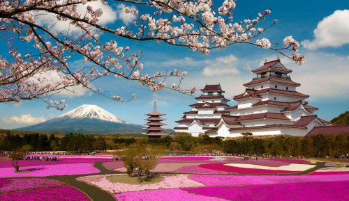 Hostess Jobs in Japan