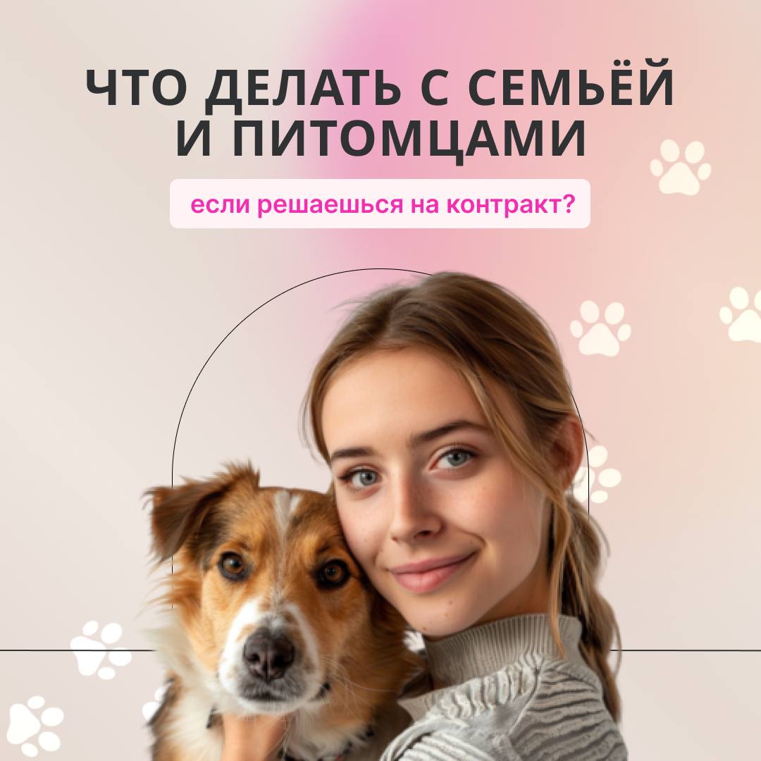 Contract, familie și animale de companie: Cum să iei o decizie fără vinovăție Contract, familie și animale de companie: Cum să iei o decizie fără vinovăție