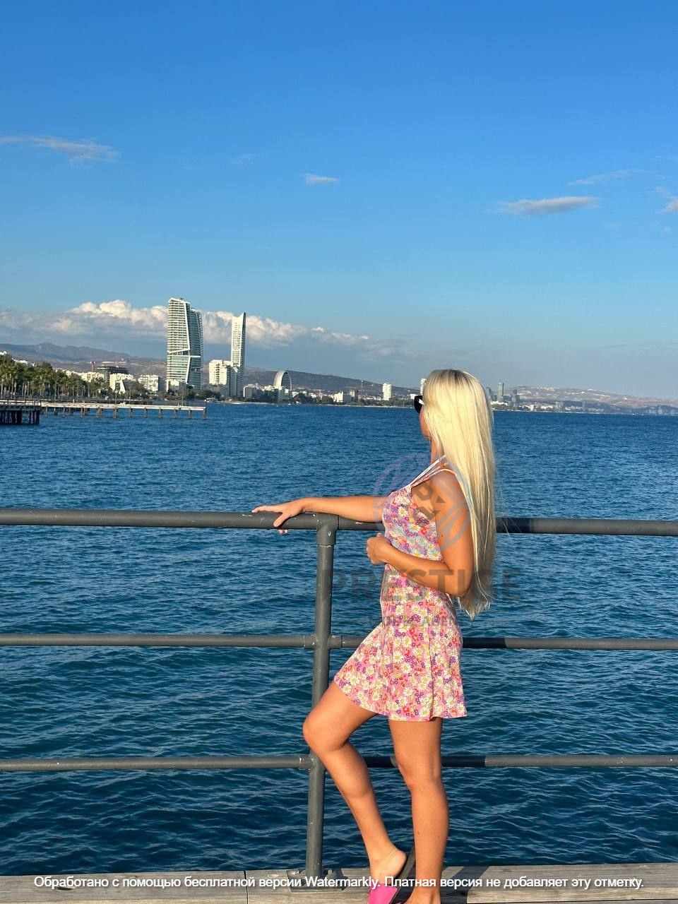 Prestige Model Agency