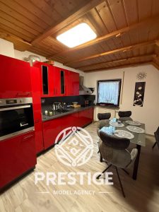 Пхоеник Табледанце Цлуб, Меминген, Немачка