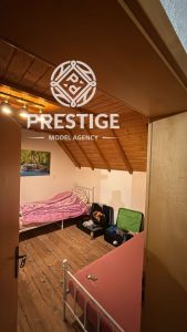 Пхоеник Табледанце Цлуб, Меминген, Немачка