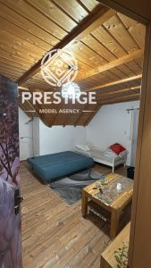 Пхоеник Табледанце Цлуб, Меминген, Немачка