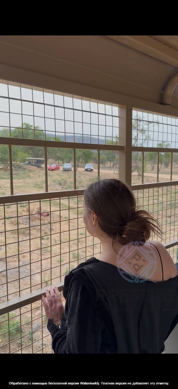 Prestige Model Agency