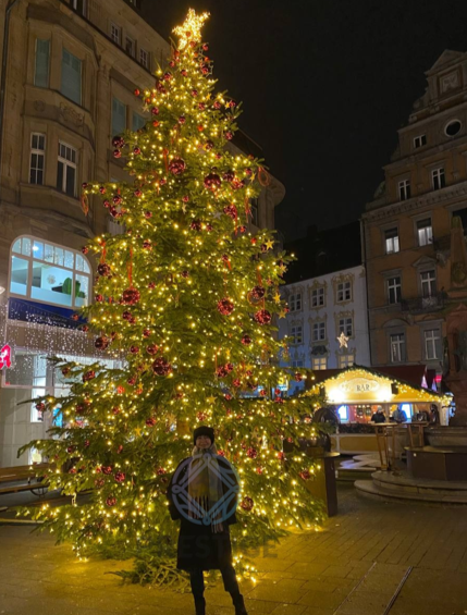 Prestige Model Agency